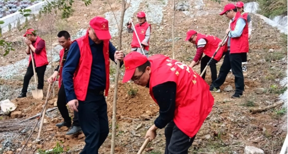村企共建，共植先鋒林