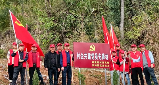 村企共建，共植先鋒林